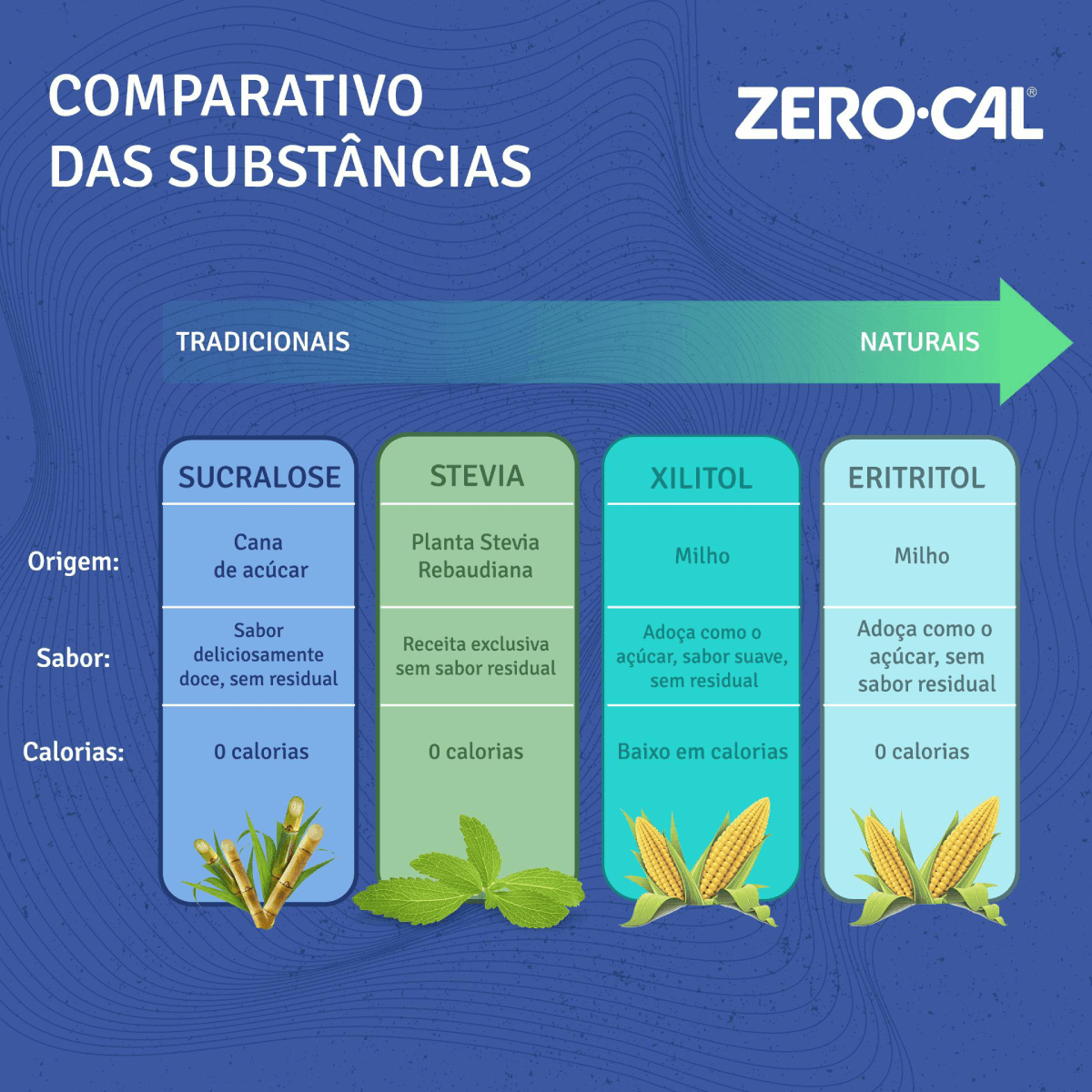 Adoçante Líquido Zero Cal Sucralose 100ml 50% de Desconto na 2ª Unidade - Imagem 2