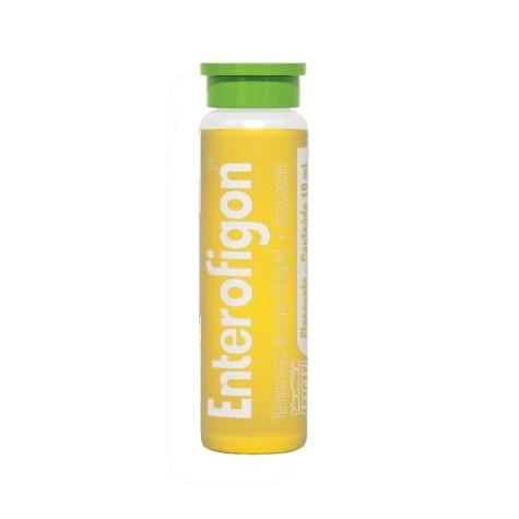 Enterofigon Abacaxi Flaconete 10ml - Imagem 1