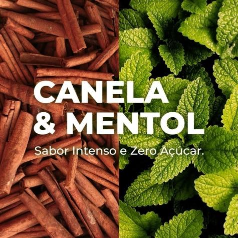 Pastilhas Valda Friends Sem Açúcar Sabor Canela 25g - Imagem 4